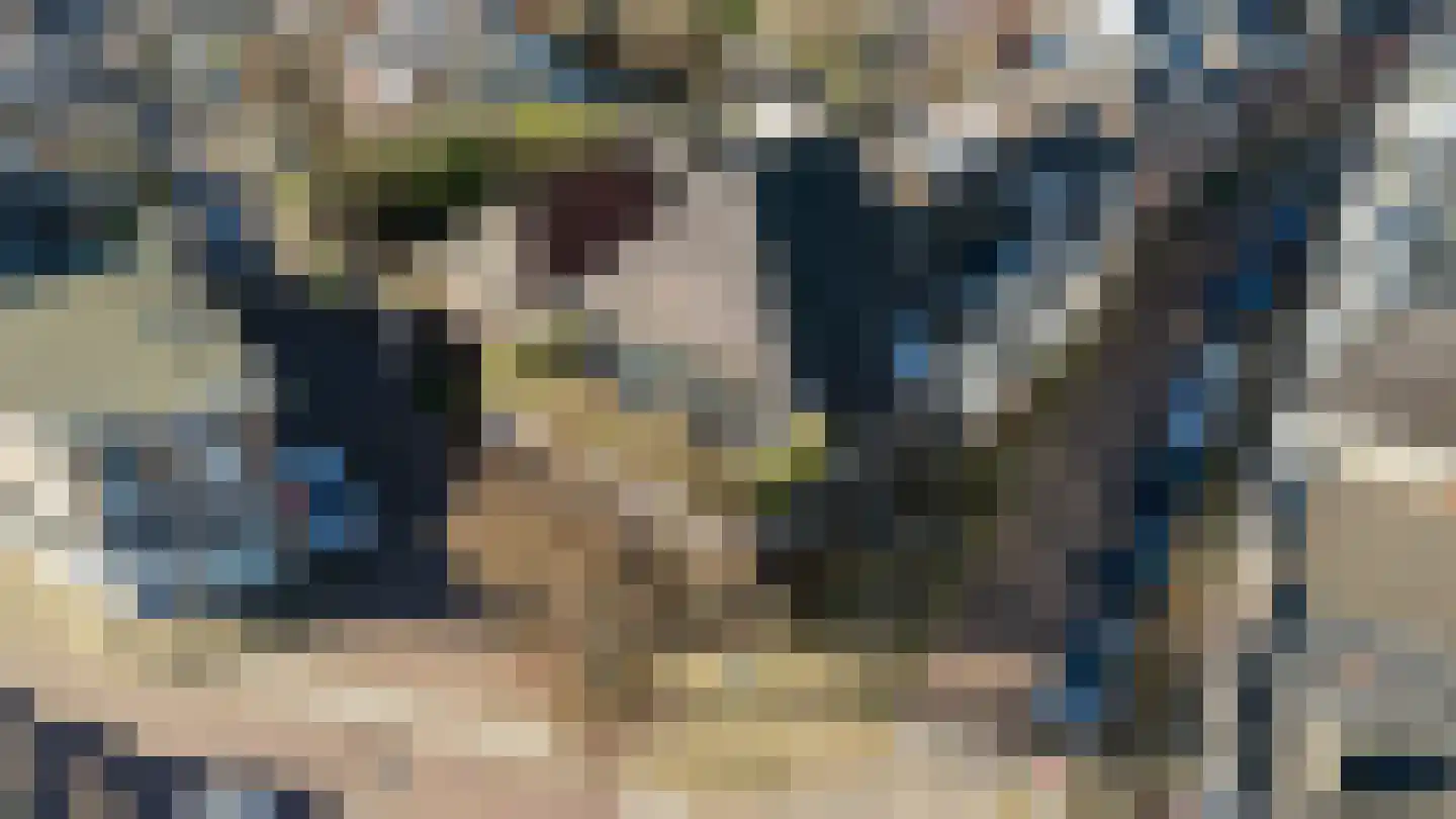 Zandbergpad 2 Breda thumbnail 113