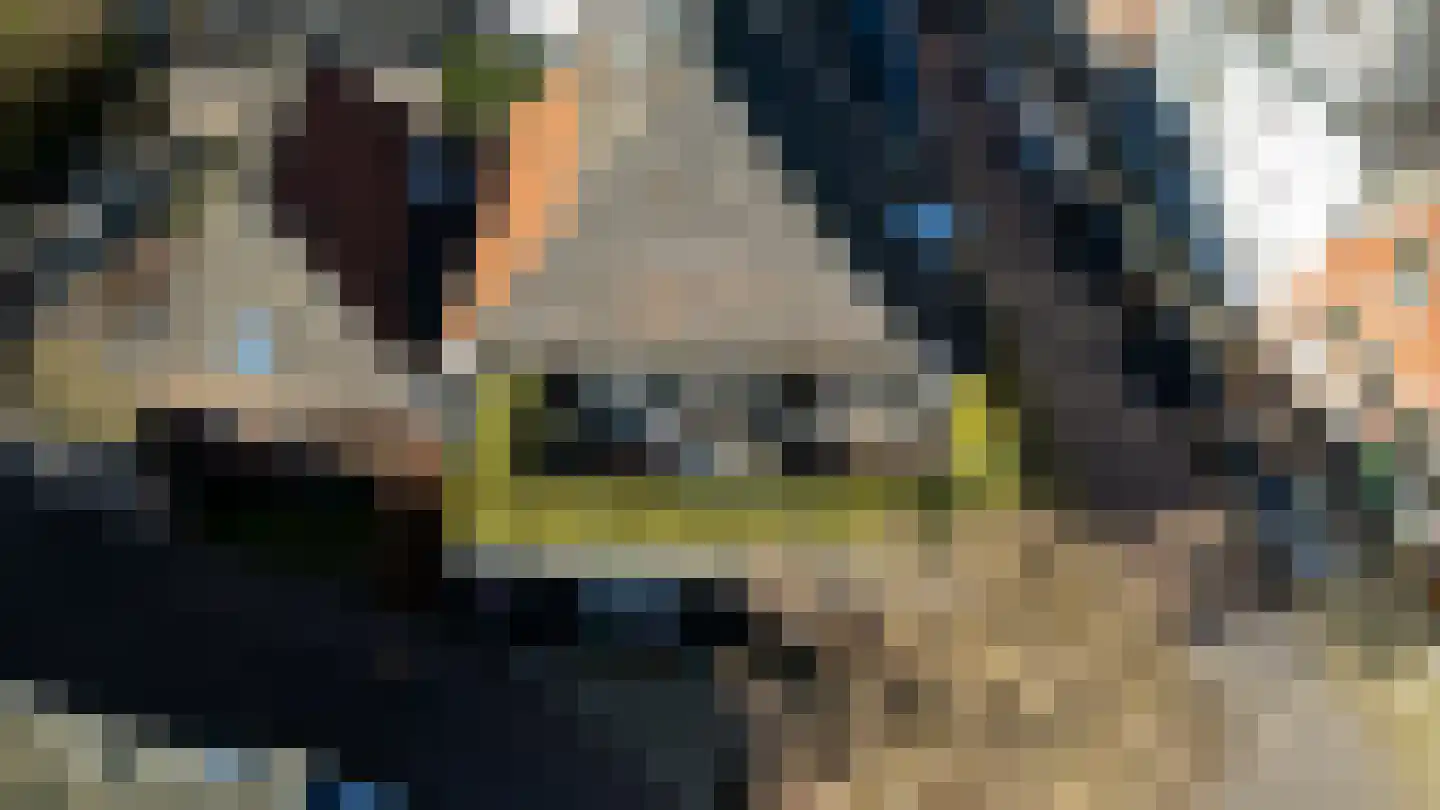 Zandbergpad 2 Breda thumbnail 119