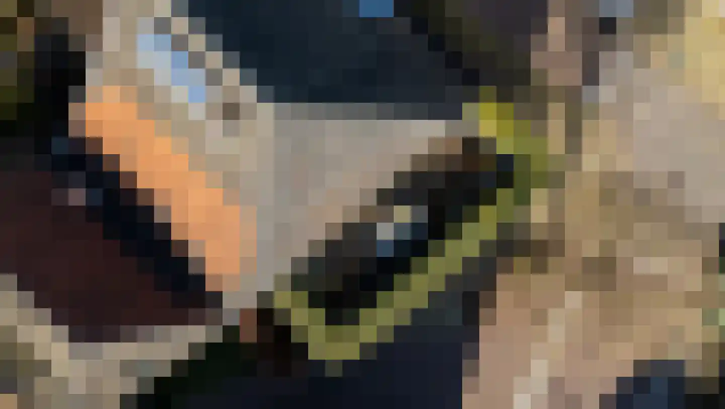 Zandbergpad 2 Breda thumbnail 120