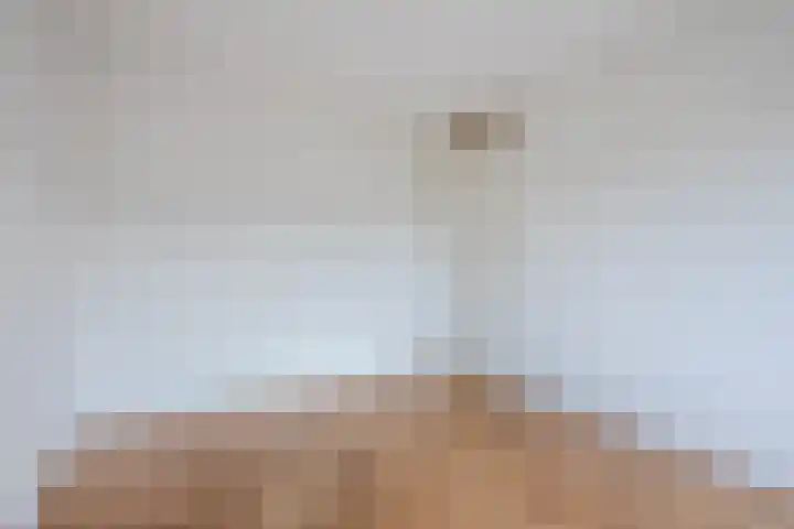 Zandbergpad 2 Breda thumbnail 119
