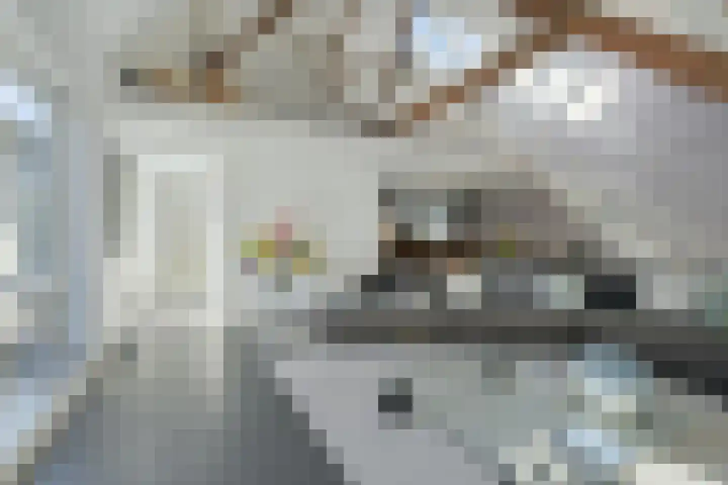 Zandbergpad 2 Breda thumbnail 13