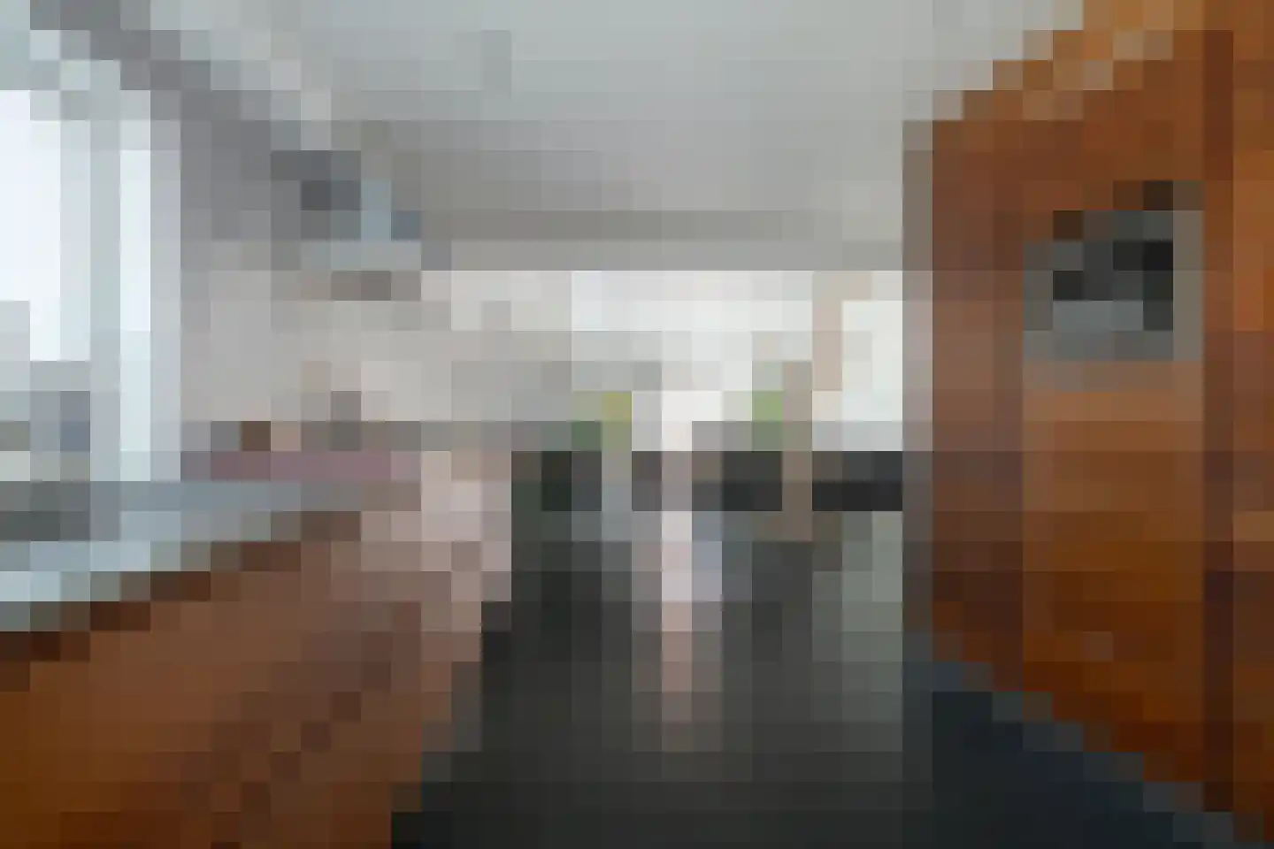Zandbergpad 2 Breda thumbnail 14