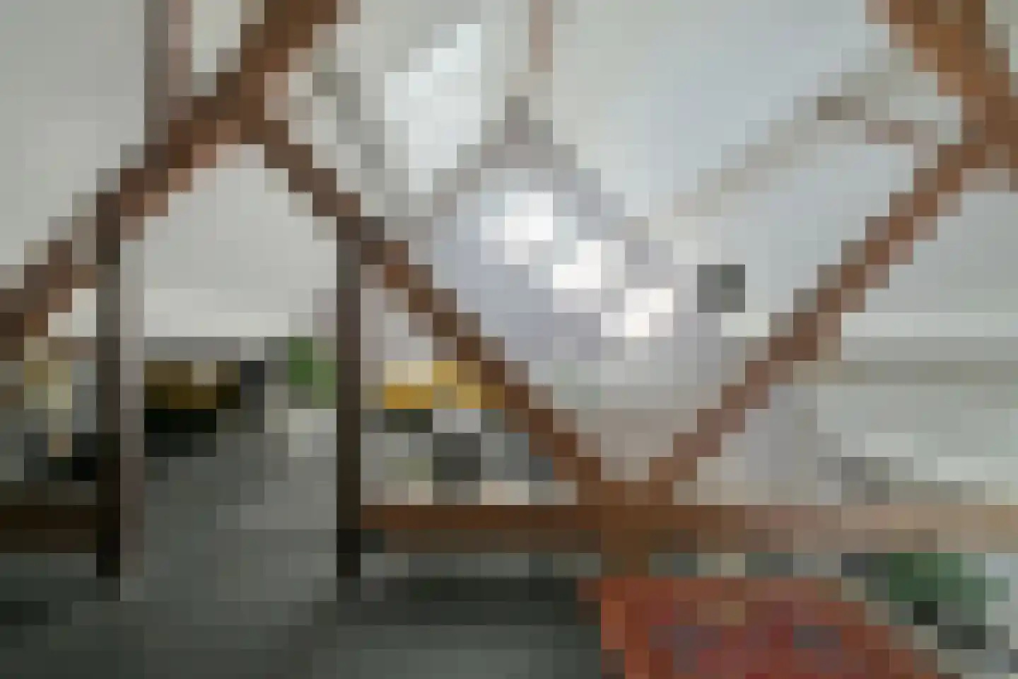 Zandbergpad 2 Breda thumbnail 17