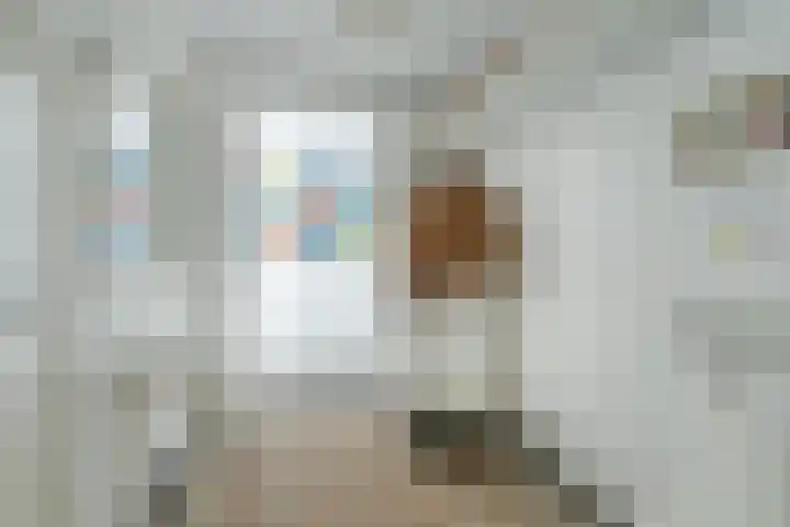Zandbergpad 2 Breda thumbnail 20