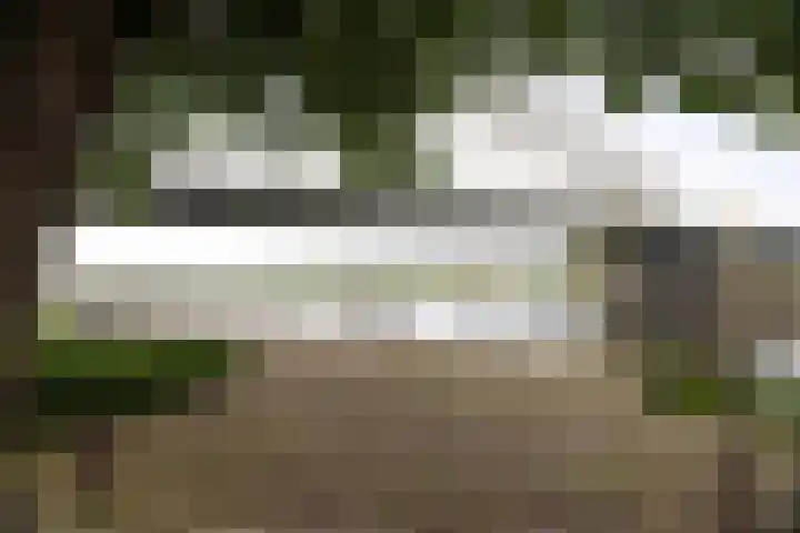 Zandbergpad 2 Breda thumbnail 23