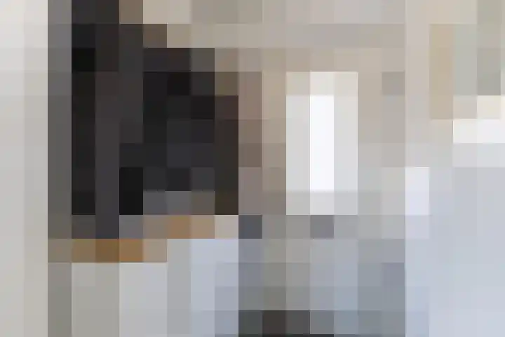 Zandbergpad 2 Breda thumbnail 27