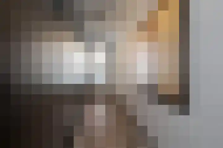Zandbergpad 2 Breda thumbnail 32