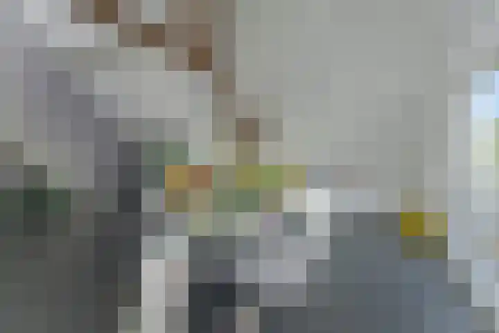Zandbergpad 2 Breda thumbnail 55