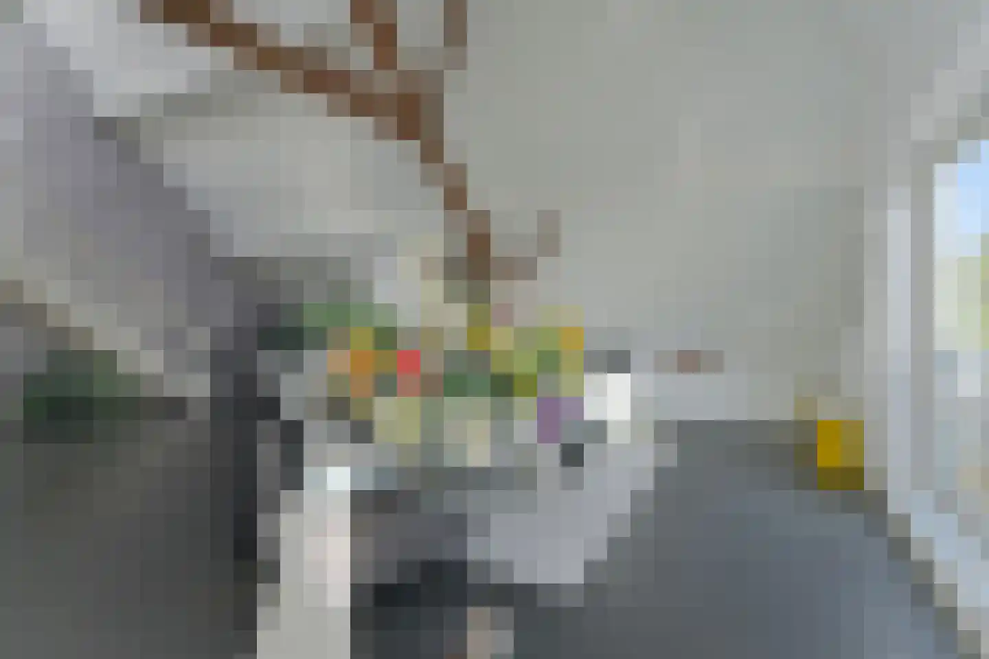 Zandbergpad 2 Breda thumbnail 55
