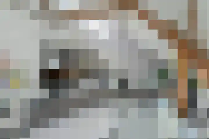 Zandbergpad 2 Breda thumbnail 57