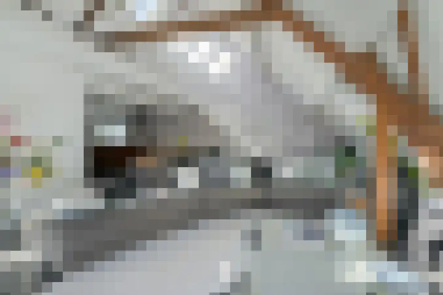 Zandbergpad 2 Breda thumbnail 57