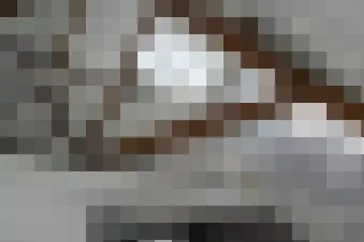 Zandbergpad 2 Breda thumbnail 58