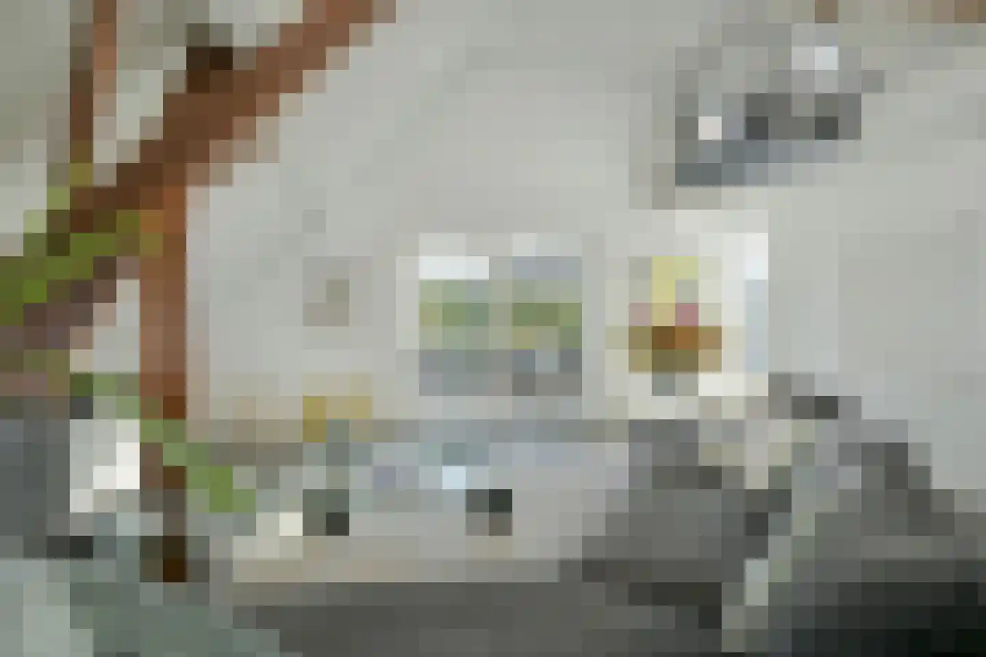 Zandbergpad 2 Breda thumbnail 61