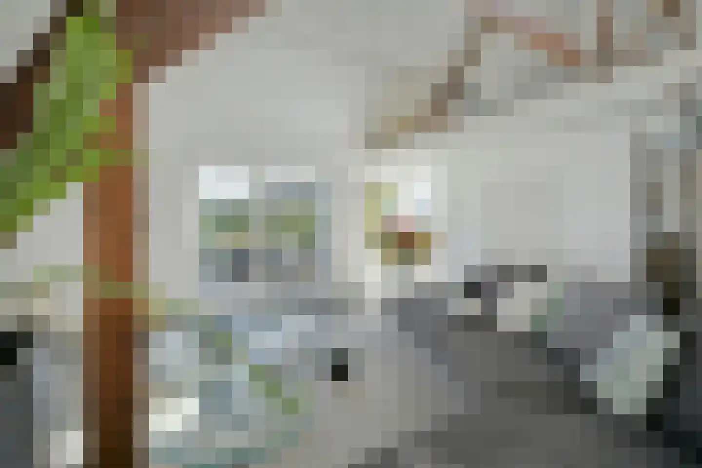 Zandbergpad 2 Breda thumbnail 65