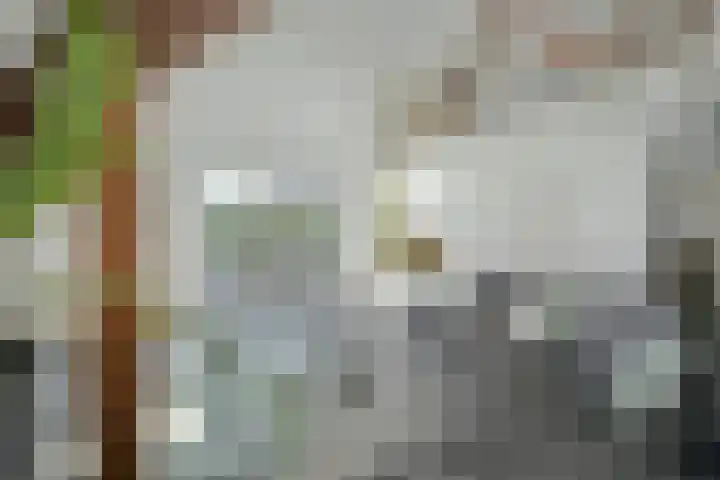Zandbergpad 2 Breda thumbnail 65