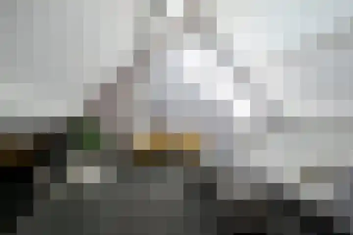 Zandbergpad 2 Breda thumbnail 7