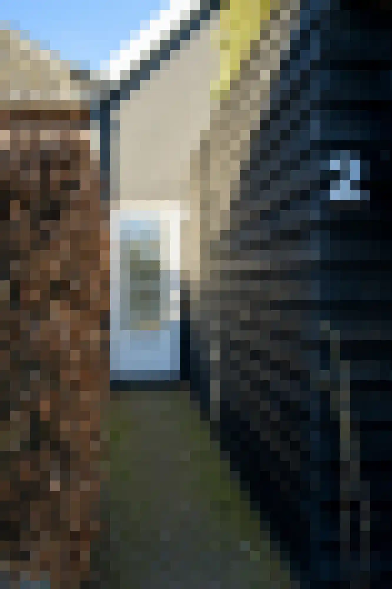 Zandbergpad 2 Breda thumbnail 7