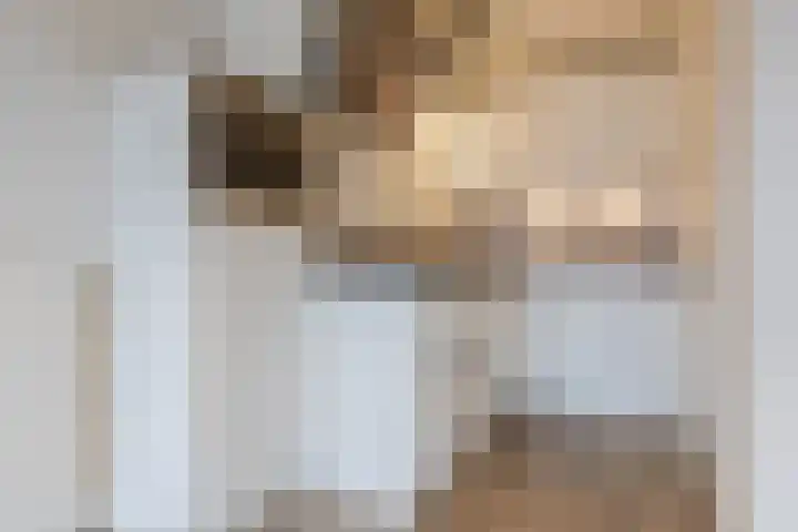 Zandbergpad 2 Breda thumbnail 71