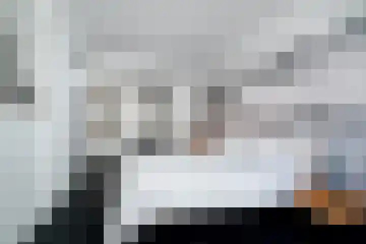 Zandbergpad 2 Breda thumbnail 8