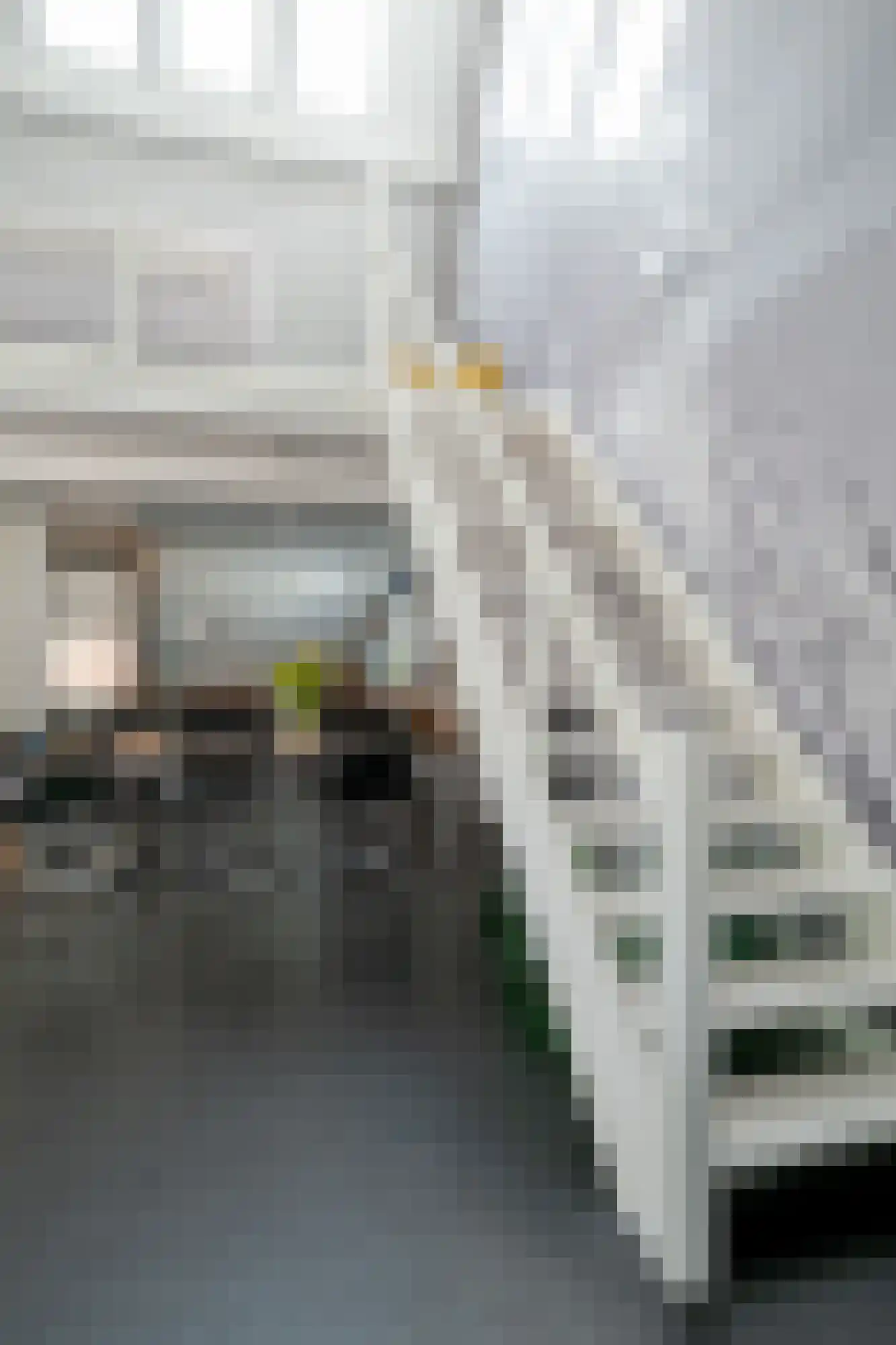 Zandbergpad 2 Breda thumbnail 89