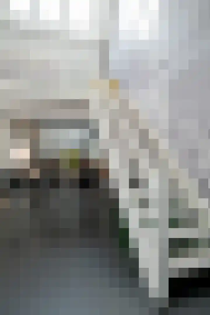 Zandbergpad 2 Breda thumbnail 89
