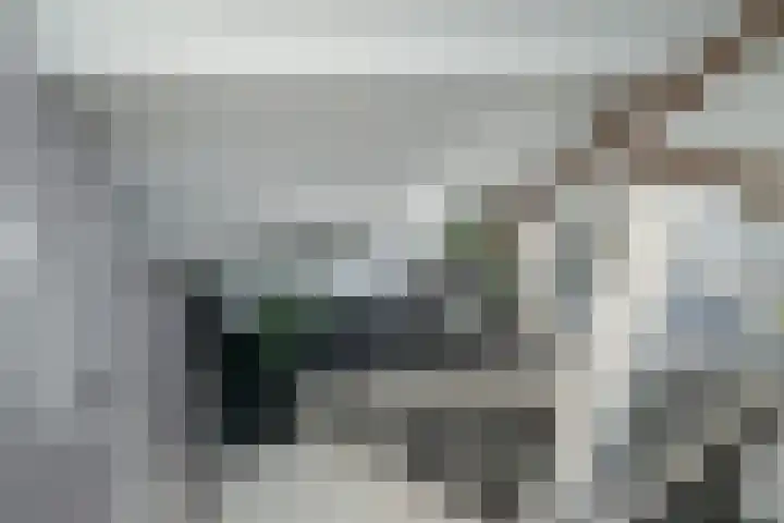 Zandbergpad 2 Breda thumbnail 90