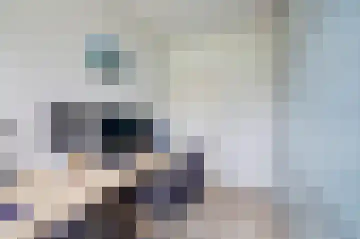 Zandbergpad 2 Breda thumbnail 91