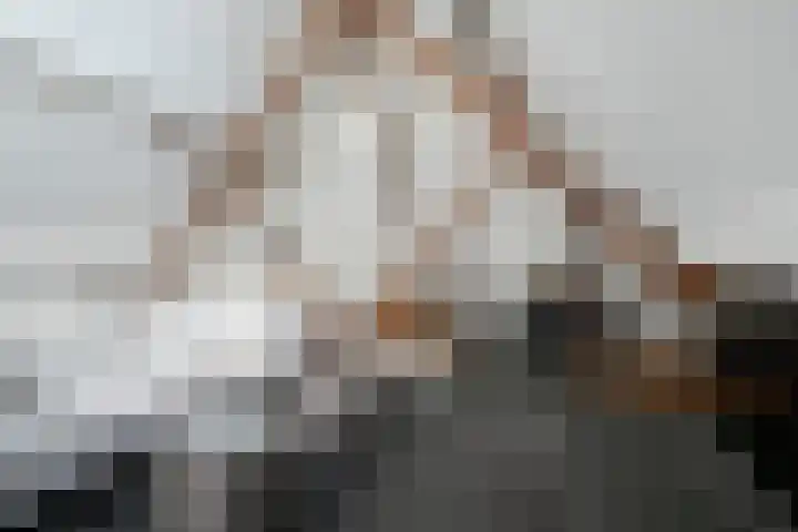 Zandbergpad 2 Breda thumbnail 91