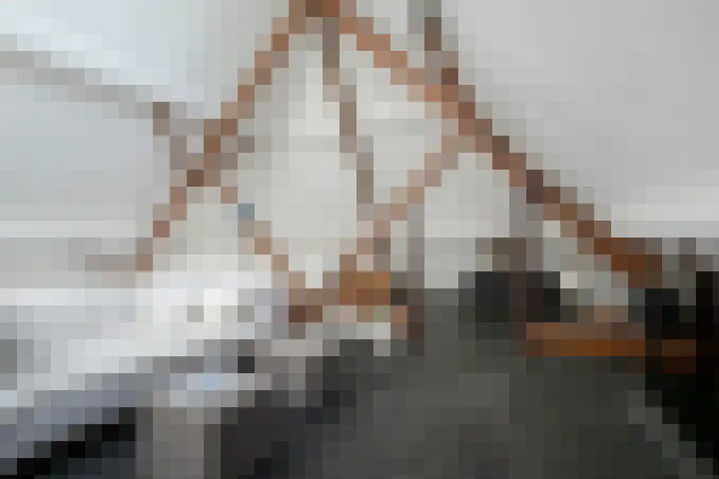 Zandbergpad 2 Breda thumbnail 91