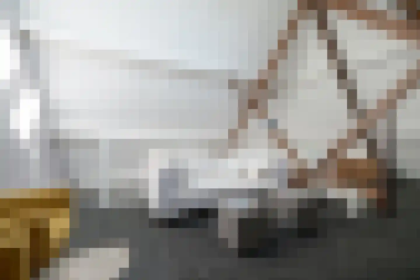 Zandbergpad 2 Breda thumbnail 93