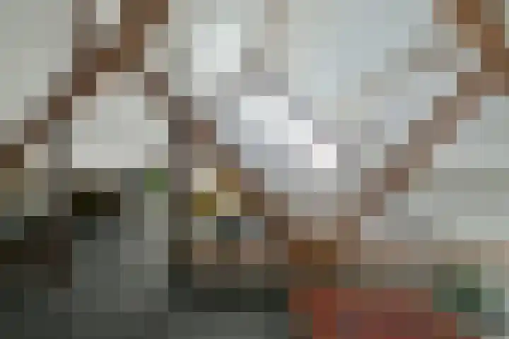 Zandbergpad 2 Breda thumbnail 94