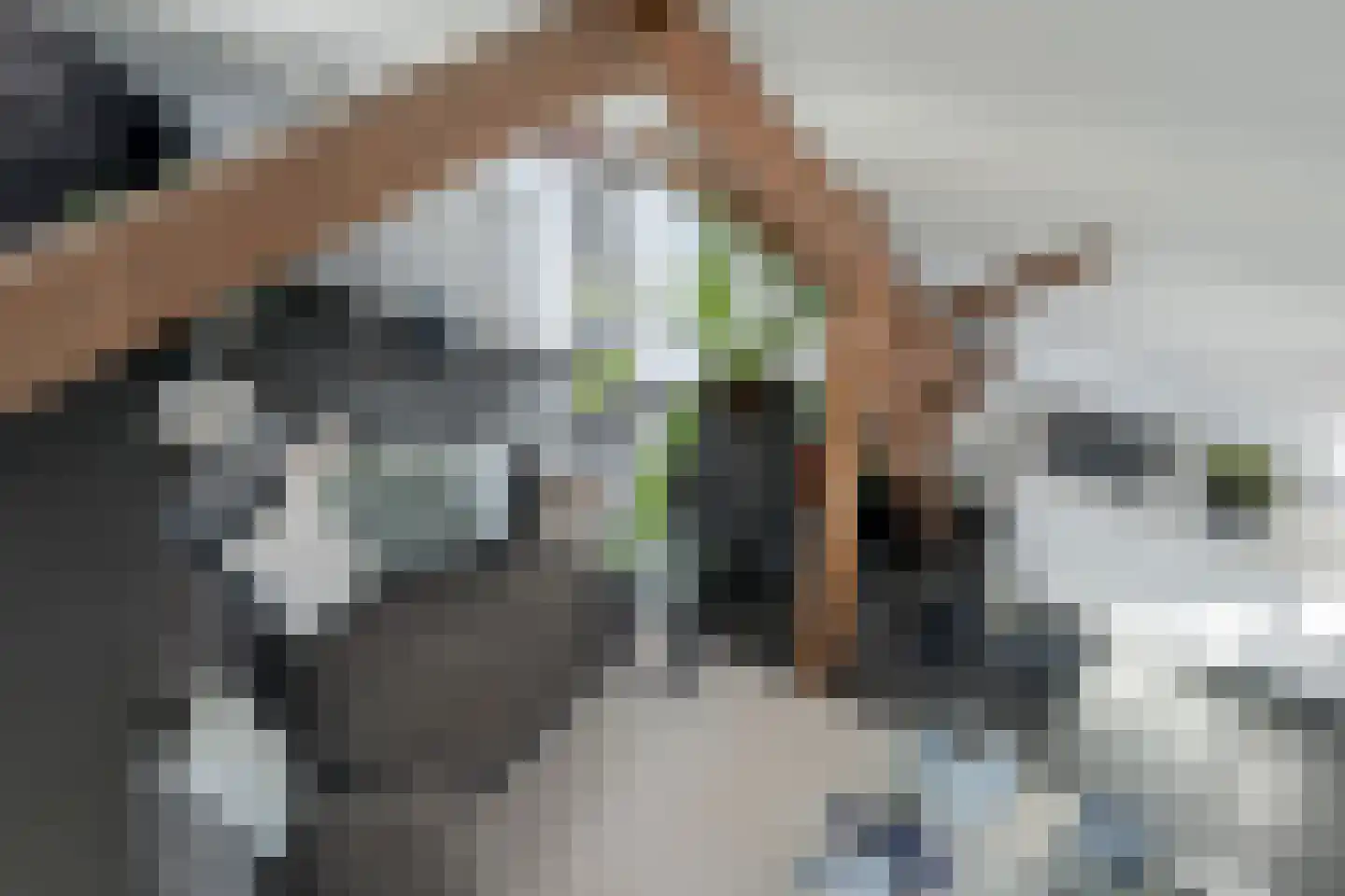 Zandbergpad 2 Breda thumbnail 96