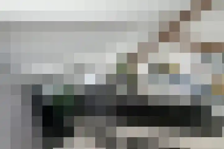Zandbergpad 2 Breda thumbnail 97