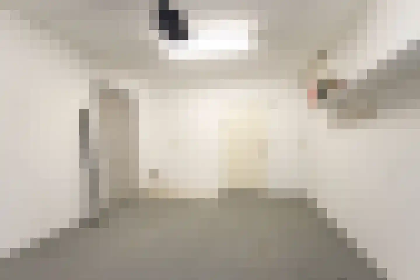 Zandbergsestraat 17 Graauw thumbnail 20