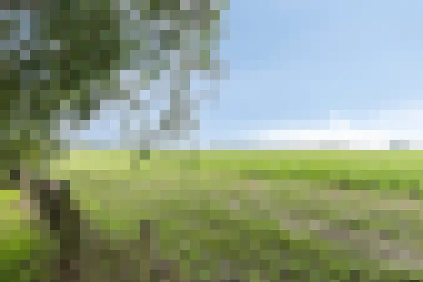 Zandbergsestraat 28 Graauw thumbnail 41