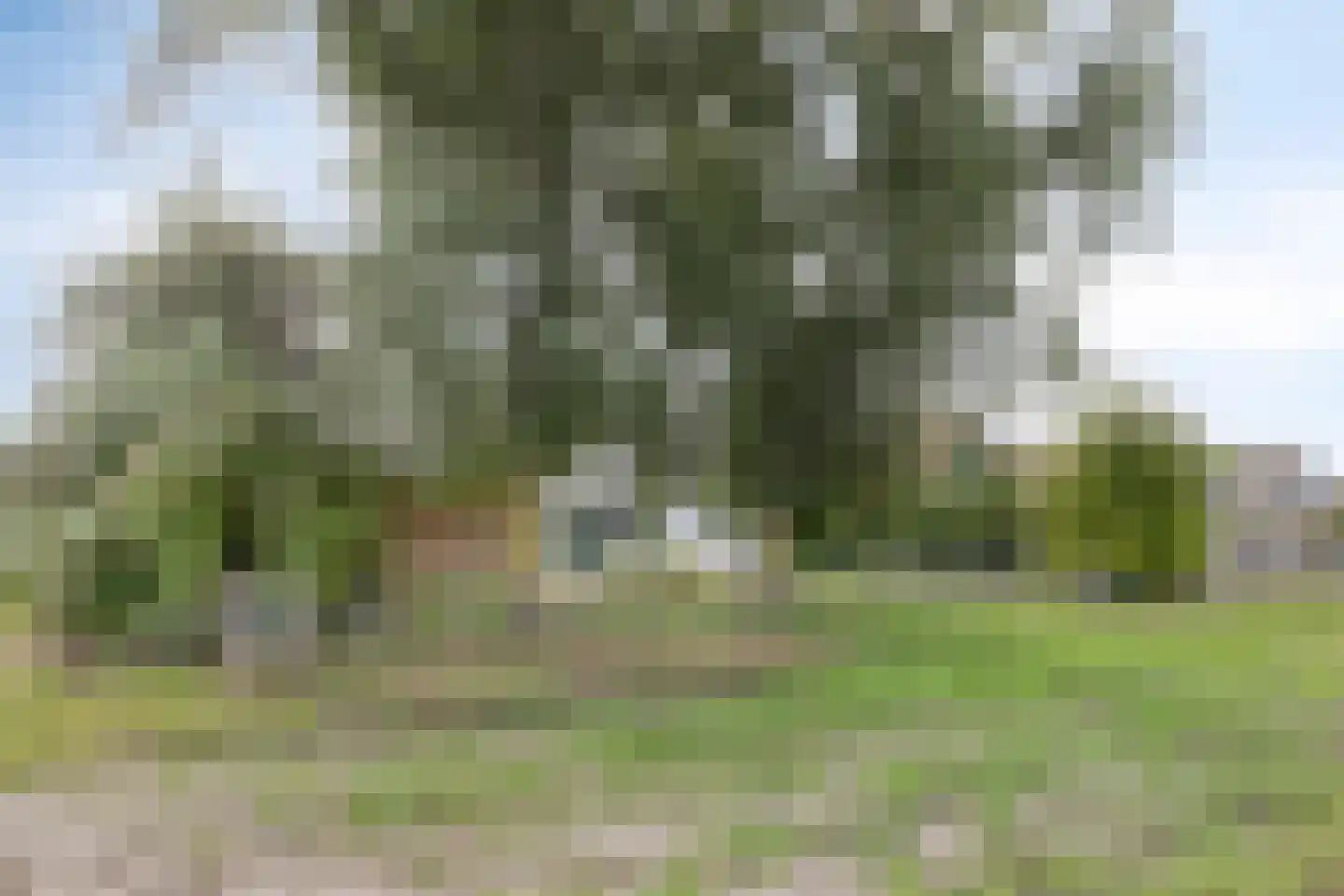 Zandbergsestraat 28 Graauw thumbnail 42