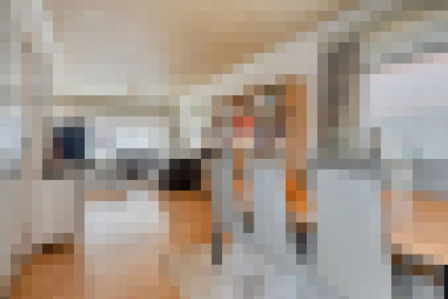 Zandbergsestraat 47 Graauw thumbnail 16