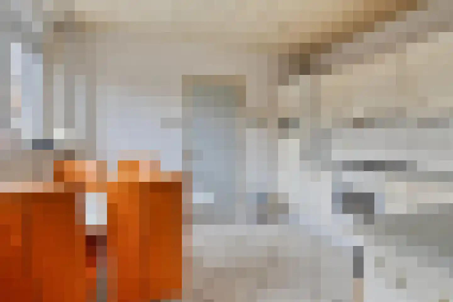 Zandbergsestraat 47 Graauw thumbnail 19