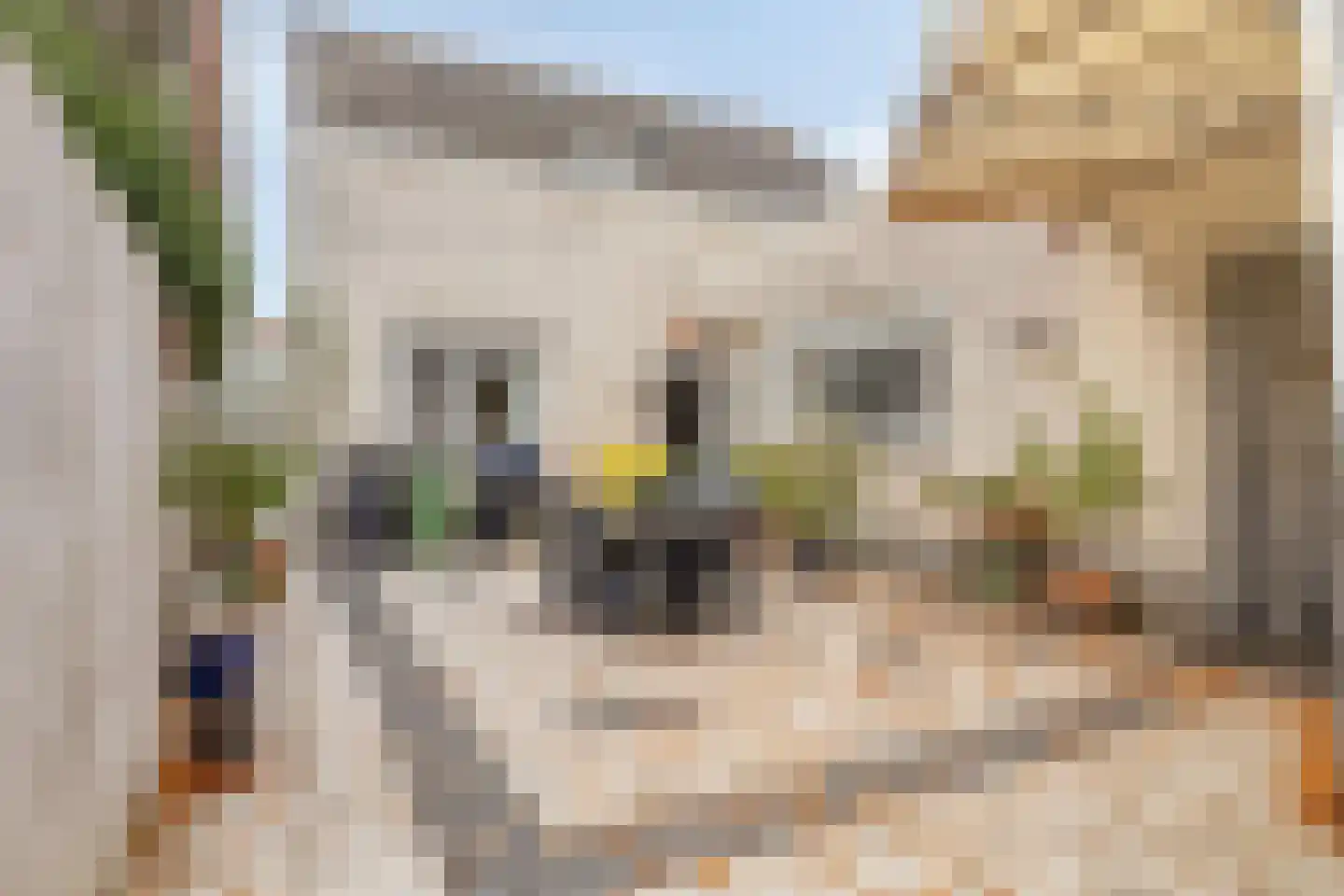 Zandbergsestraat 47 Graauw thumbnail 30