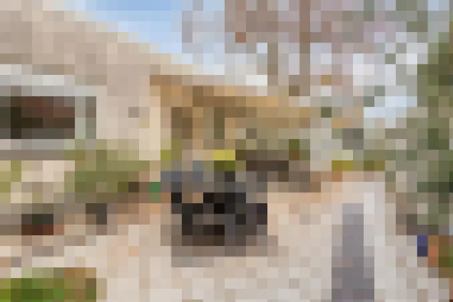 Zandbergsestraat 47 Graauw thumbnail 31