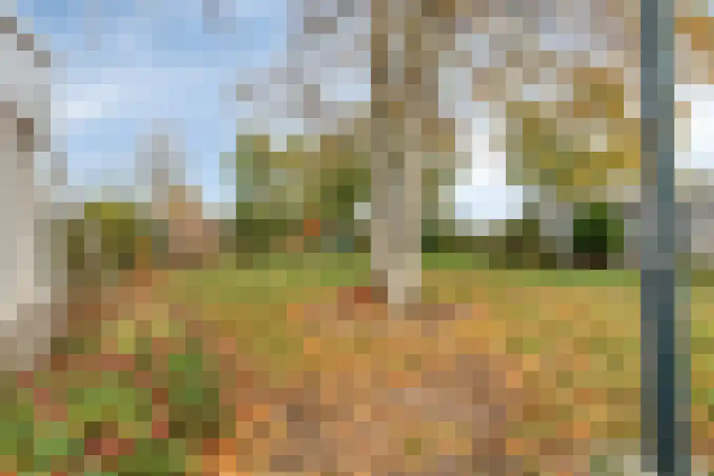 Zandbergsestraat 47 Graauw thumbnail 35