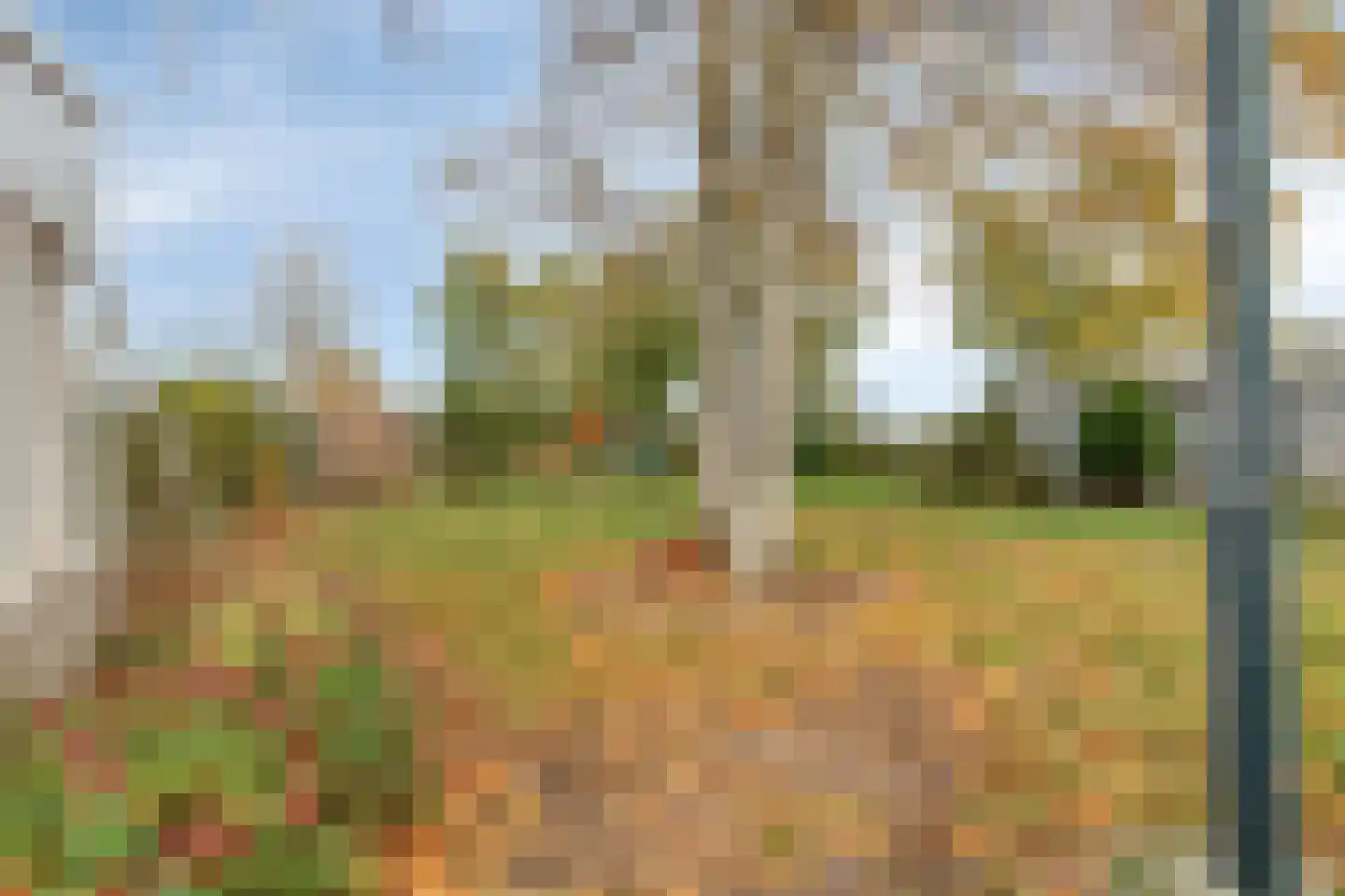 Zandbergsestraat 47 Graauw thumbnail 35