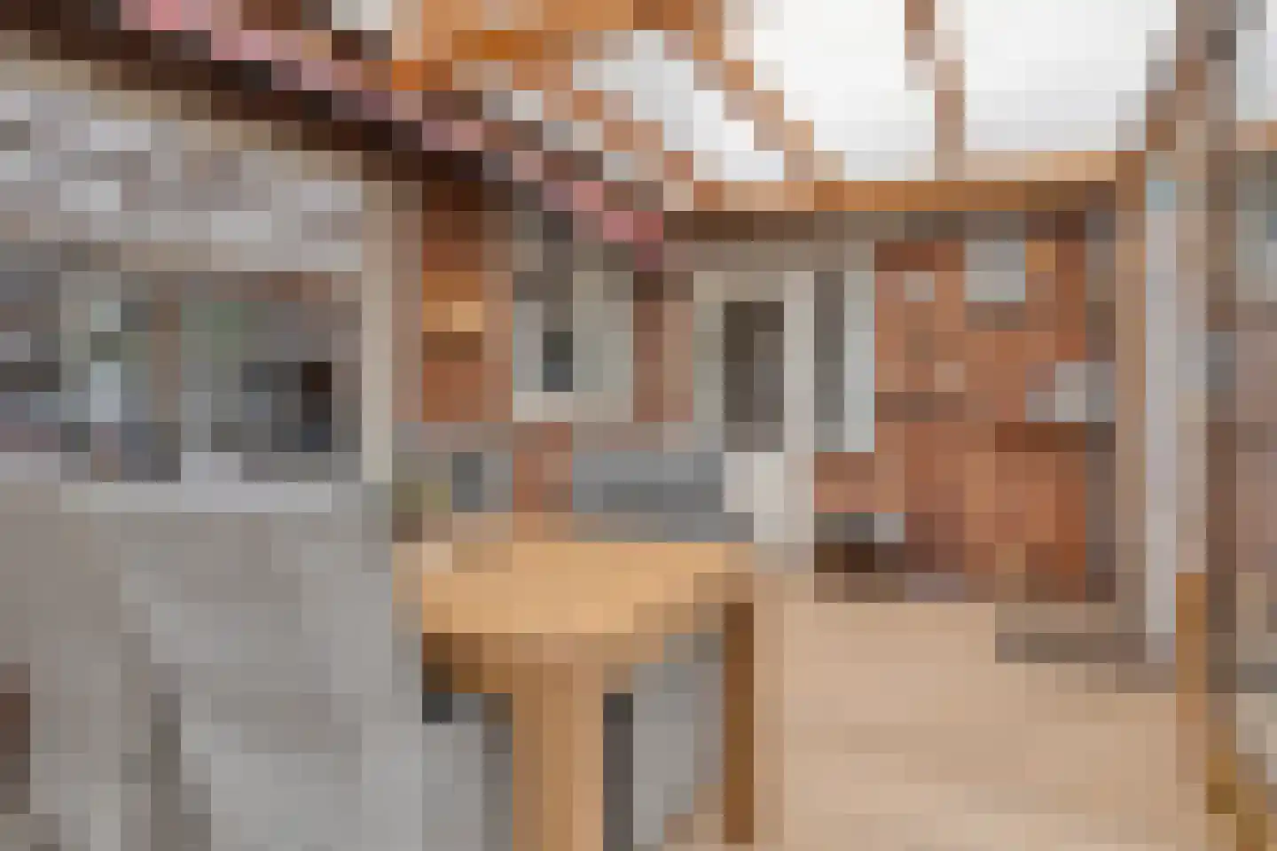 Zandbergsestraat 48 Graauw thumbnail 14