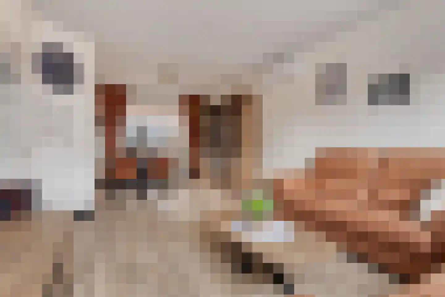 Zandbergsestraat 48 Graauw thumbnail 5
