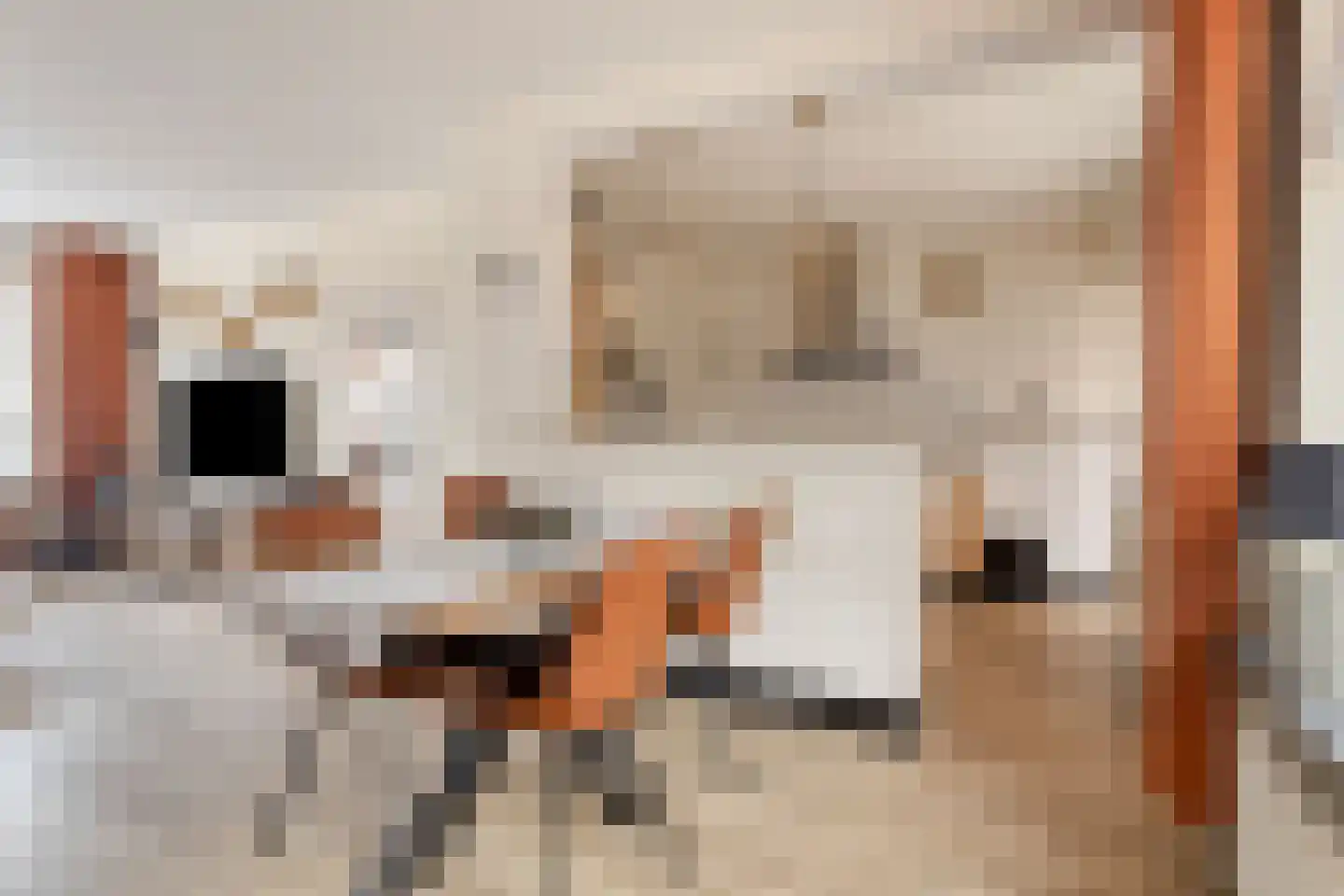 Zandbergsestraat 48 Graauw thumbnail 7