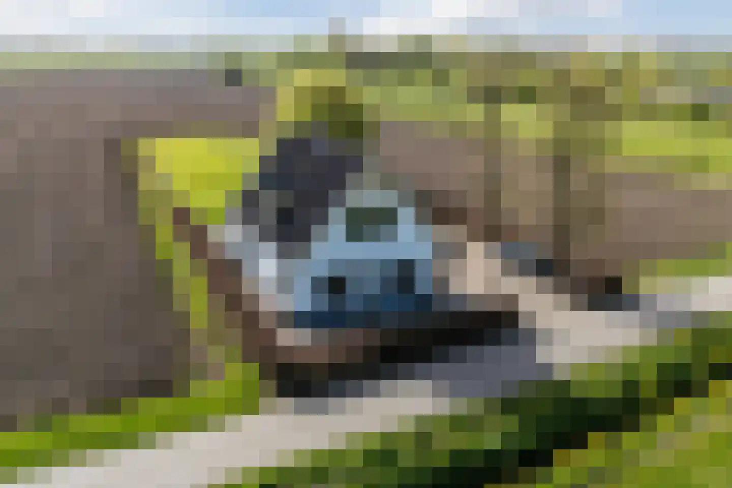Zandbergseweg 3 Rijswijk (GLD) thumbnail 65