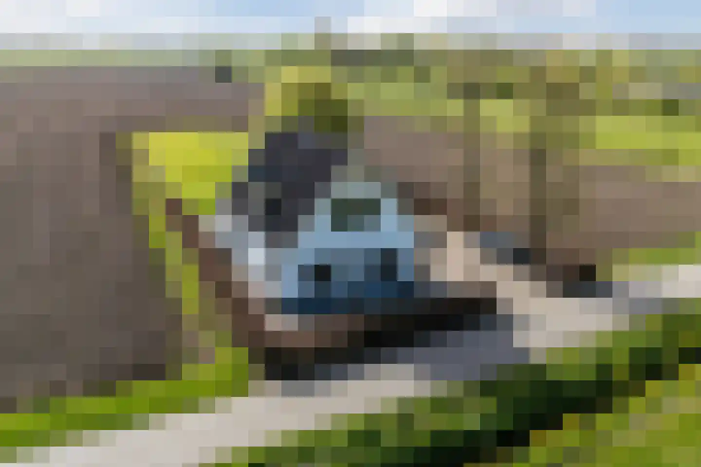 Zandbergseweg 3 Rijswijk (GLD) thumbnail 65
