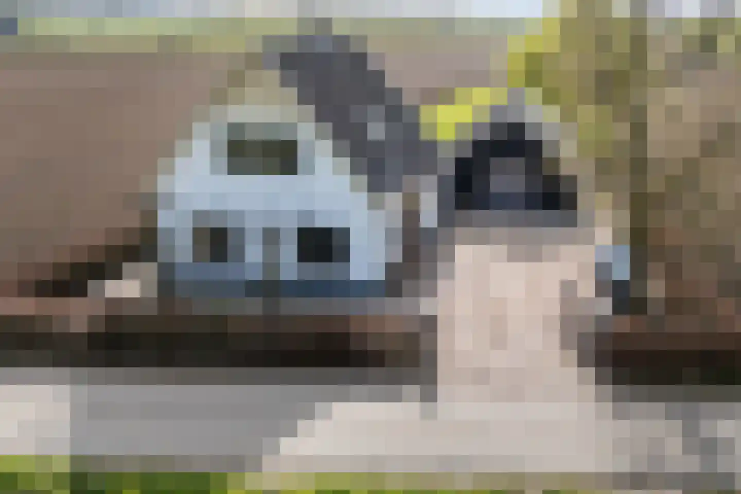Zandbergseweg 3 Rijswijk (GLD) thumbnail 67