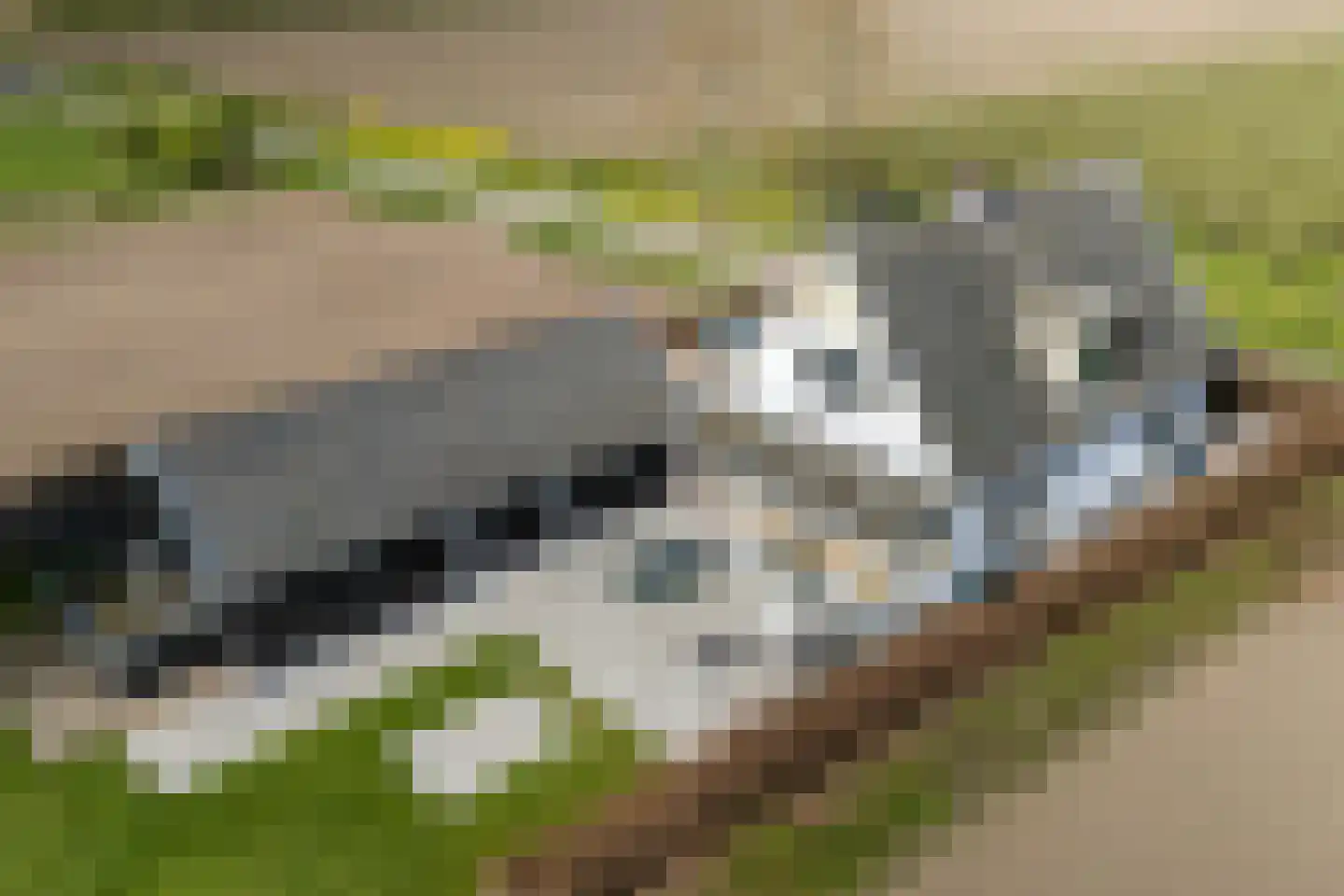 Zandbergseweg 3 Rijswijk (GLD) thumbnail 73