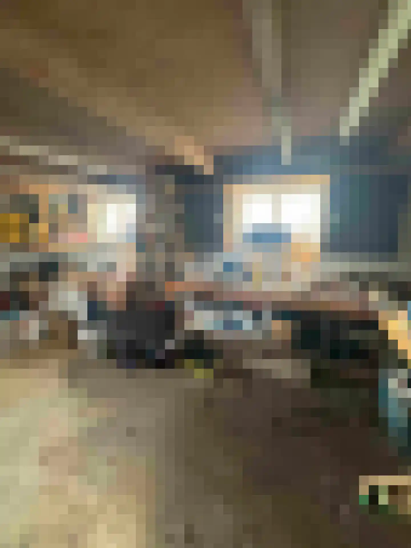 Zandbergseweg 3 Rijswijk (GLD) thumbnail 85